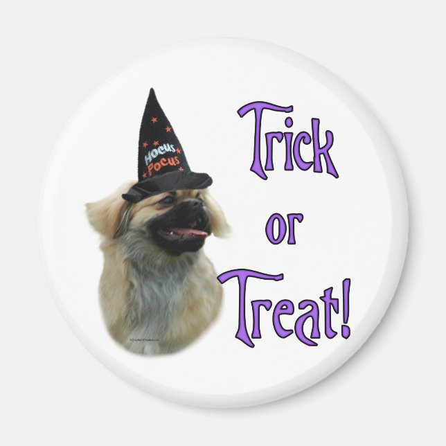 Tibetansk spanskspråkig Trick Magnet (Framsidan)