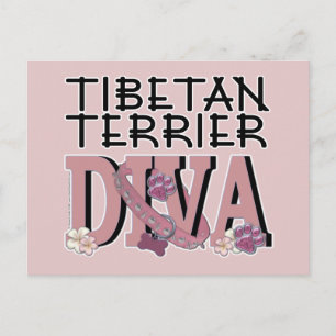Tibetansk Terrier DIVA Vykort