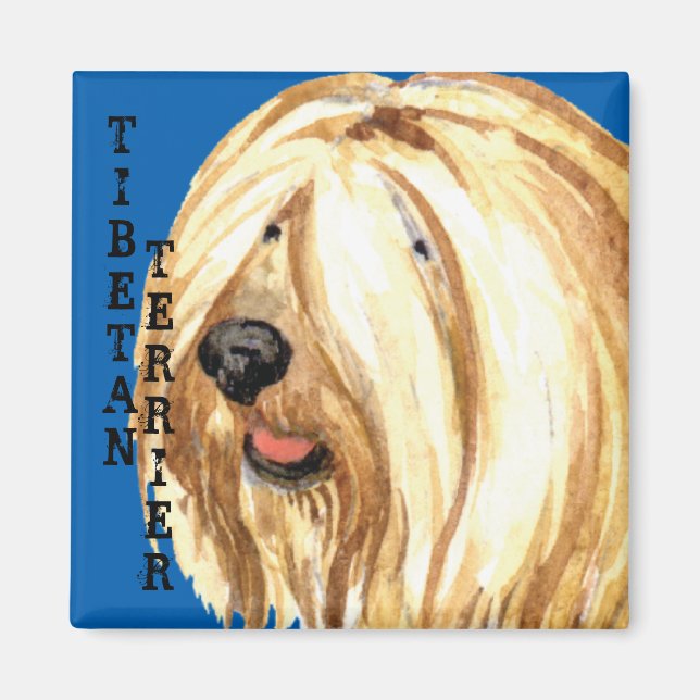 Tibetansk Terrier Färg Block Magnet (Framsidan)