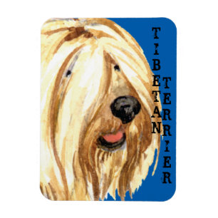 Tibetansk terrier Färg Block Magnet