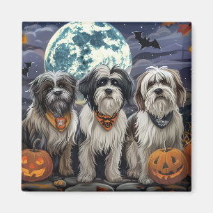 Tibetansk Terrier Halloween Kuslig Magnet