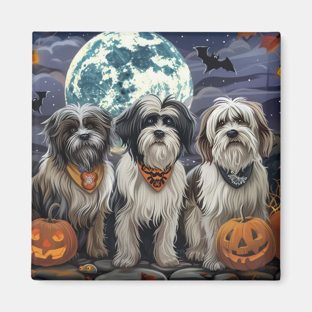 Tibetansk Terrier Halloween Spooky Magnet (Framsidan)