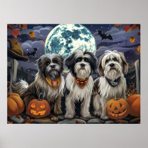 Tibetansk Terrier Halloween Spooky Poster