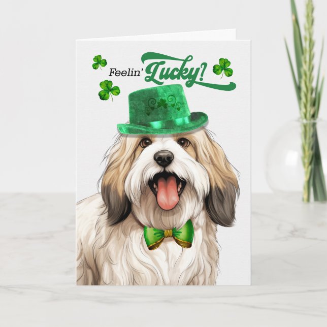 Tibetansk Terrier Hund Feelin' Lucky St patrick's  Helgkort (Framsida)