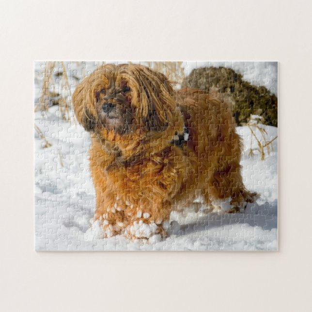 Tibetansk Terrier Hund Jigsaws. Pussel (Horisontell)