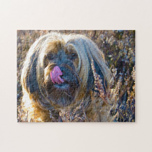 Tibetansk Terrier Hund Jigsaws. Pussel (Horisontell)