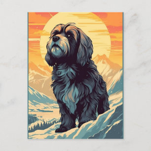 Tibetansk terrier i montanerna under solnedgången vykort
