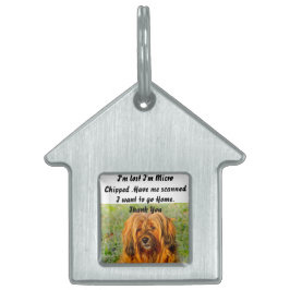 Tibetansk Terrier ID-bricka Husdjur