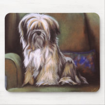 Tibetansk terrier