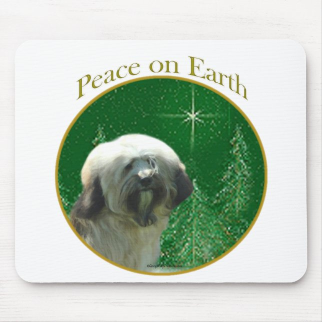 Tibetansk terrier Peace Musmatta (Framsidan)