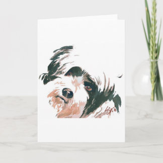 Tibetansk Terrier porträtt Kort