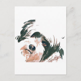 Tibetansk Terrier porträtt Vykort