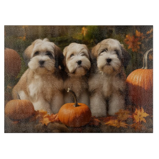 Tibetansk terrier Puppy Autumn Delight Pumpkin (Framsidan)