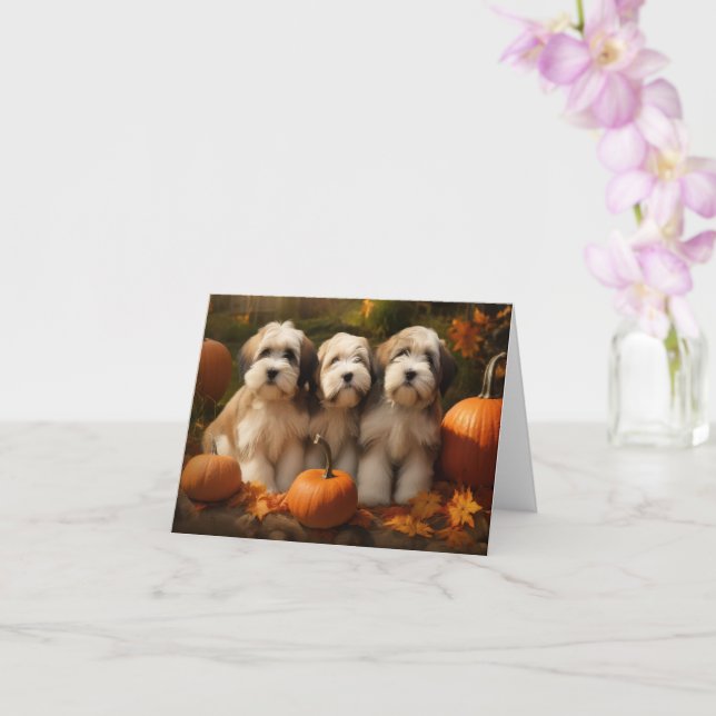 Tibetansk terrier Puppy Autumn Delight Pumpkin Kort (Orkide)