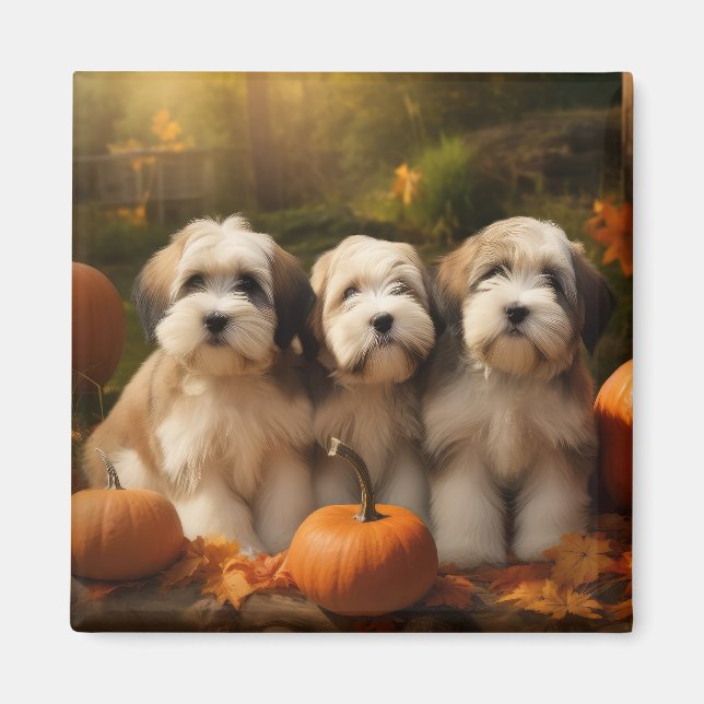 Tibetansk terrier Puppy Autumn Delight Pumpkin Magnet (Framsidan)