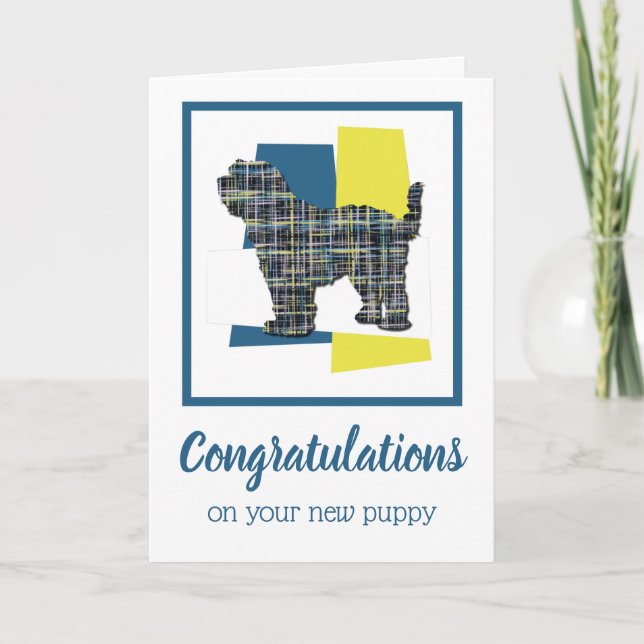 Tibetansk terrier Puppy Hund Hälsning Kort (Framsida)