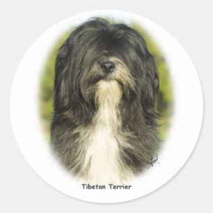 Tibetansk terrier runt klistermärke