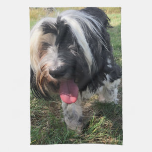 Tibetansk terrier Tea Towel Kökshandduk