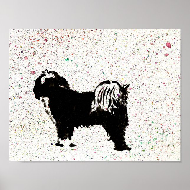 Tibetansk terrier - Tittar ut Poster (Framsidan)