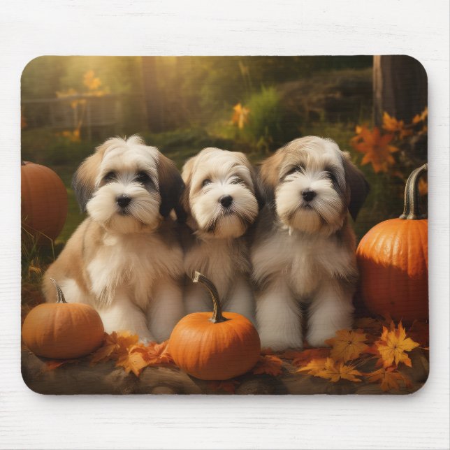 Tibetansk Terrier-valp Höstglädje Pumpa Musmatta (Framsidan)