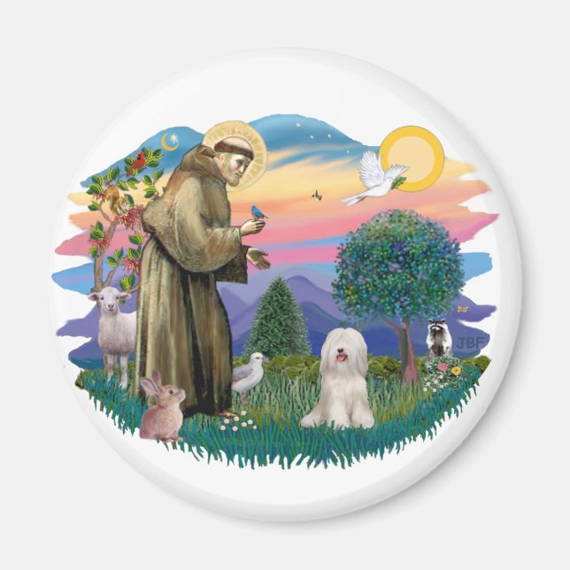 Tibetansk terrier (vit) magnet (Framsidan)