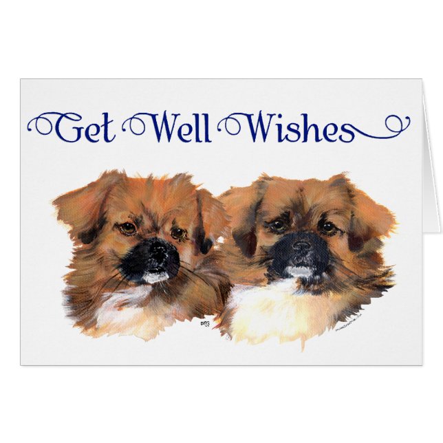 Tibetanska spanjorer Head Study Hälsningskort (Framsidan Horizontal)