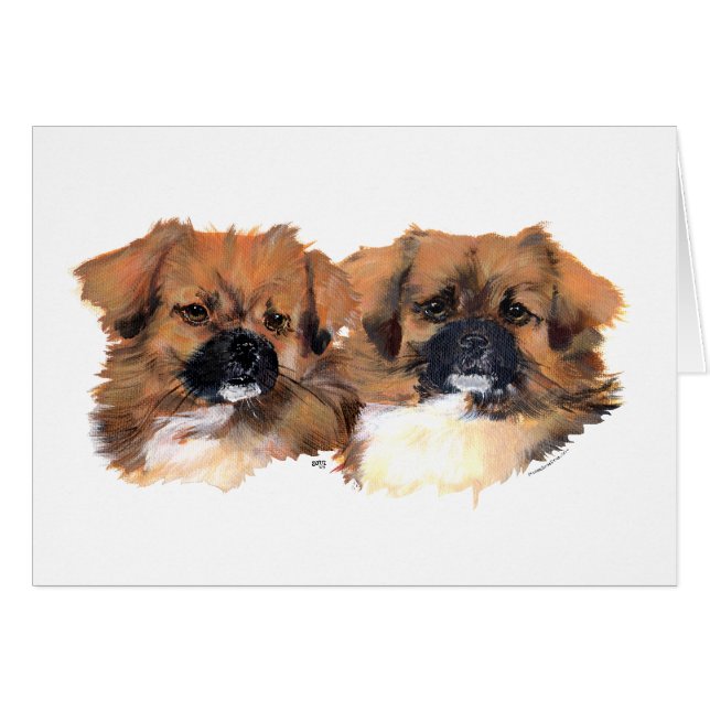 Tibetanska spanjorer Head Study Hälsningskort (Framsidan Horizontal)