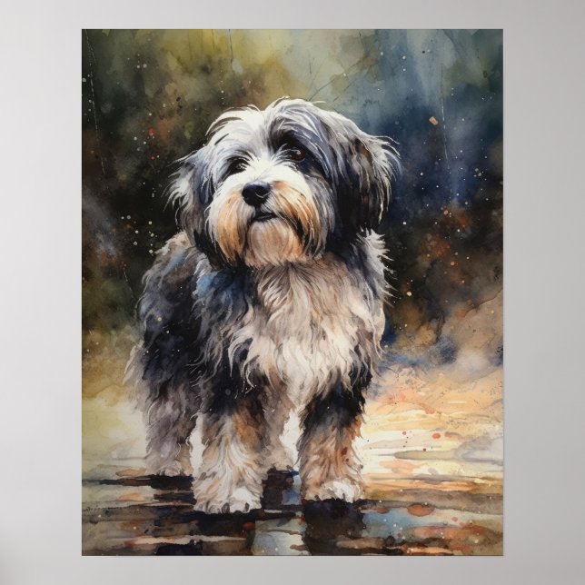 Tibetanska Terrier Hund Art Print Poster (Framsidan)