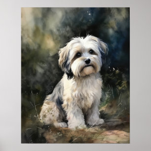 Tibetanska Terrier Hund Art Print Poster