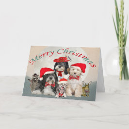 Tibetanska Terrier Santa's Helpers Helgkort