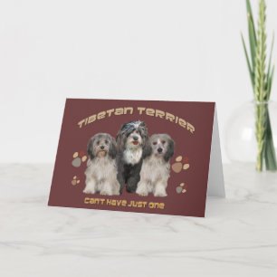 Tibetanskt hälsningskort för Terrier-Tillfällen Kort
