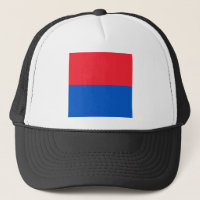Ticino flagga