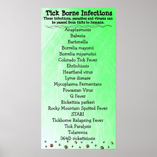 Tick Borne Infection list Lyme Awareness Poster (Framsidan)