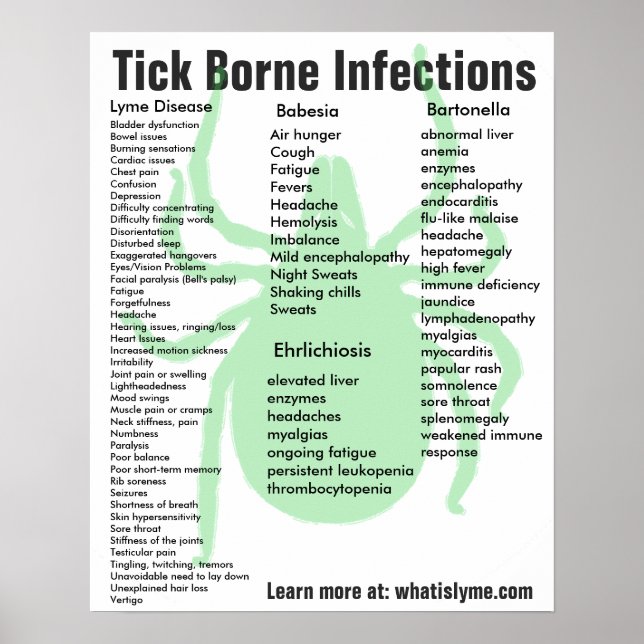 Tick Borne Infektioner Symptom på Poster utbildnin (Framsidan)