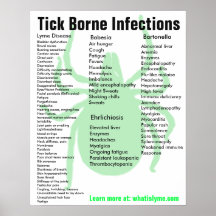 Tick Borne Infektioner Symptom på Poster utbildnin