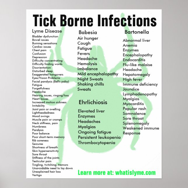 Tick Borne Infektioner Symptom på Poster utbildnin (Framsidan)