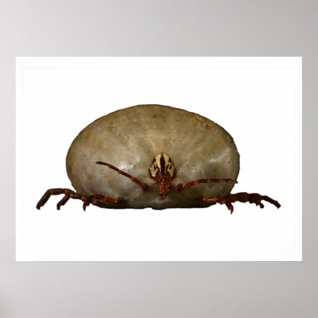 Tick Poster (Framsidan)