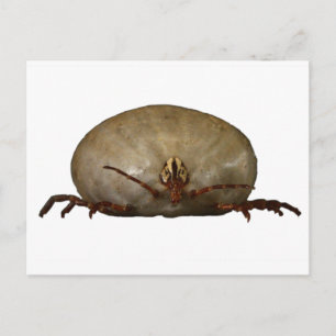 Tick Vykort