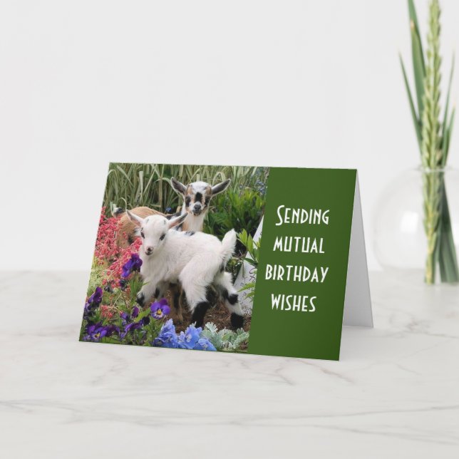 Tid att CELEBRAGE vår ÖMSESIDIGA BIRTHDAY Kort (Framsida)