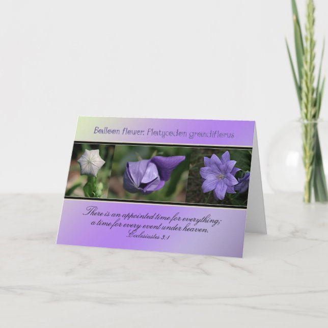 Tid för allt kort (Framsida)