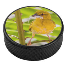 Tid för att bygga rede