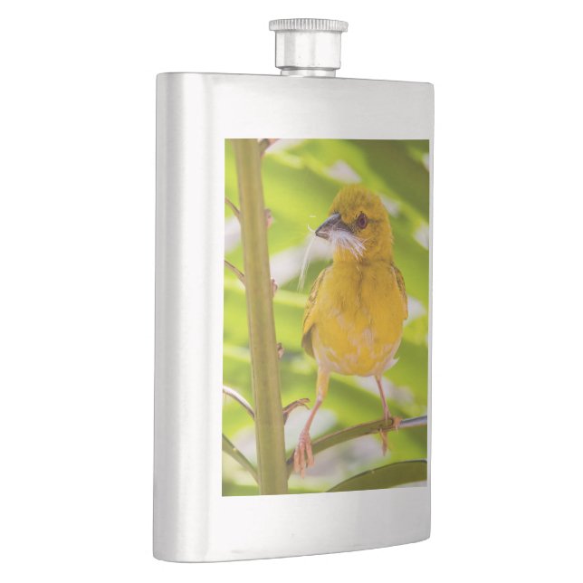 Tid för att bygga rede fickplunta (Höger)