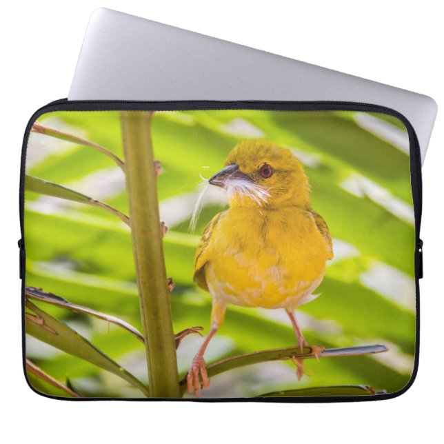 Tid för att bygga rede laptop fodral (Framsidan)