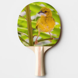 Tid för att bygga rede pingisracket