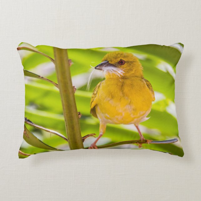 Tid för att bygga rede prydnadskudde (Framsidan)