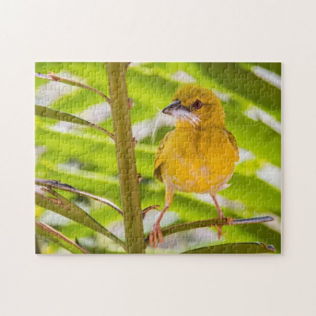 Tid för att bygga rede pussel (Horisontell)