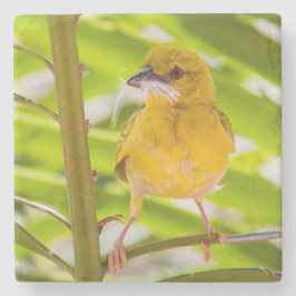 Tid för att bygga rede stenunderlägg