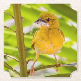 Tid för att bygga rede underlägg papper