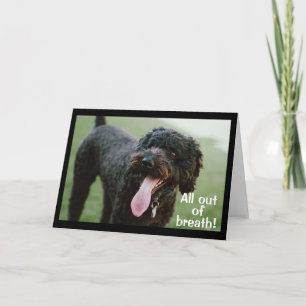 **TID FÖR ATT CELEBRATERA DIN 13 BIRTHDAY** KORT