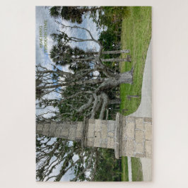 Tid för att nå fram - tysta Ember Puzzles Pussel